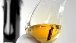 Gläserservice zur Veranstaltungsbetreuung Whisky-Verkostung